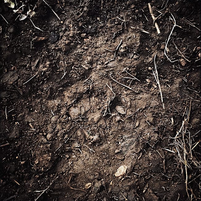 Terre Watsnex des produits-en harmonie avec les elements de la nature et la terre