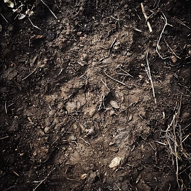 Terre Watsnex des produits-en harmonie avec les elements de la nature et la terre